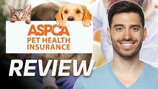 ASPCA Pet Insurance Review | Is It Worth It? (2024)