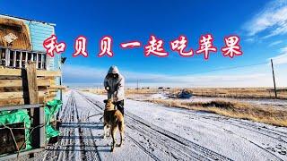 徒步去-50℃的根河，冰天雪地里和贝贝吃苹果，露营到观光区能挡挡风。