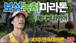 47주 연속마라톤 I #보성녹차마라톤 2부 (feat : 환상적인 메타세콰이어 길)