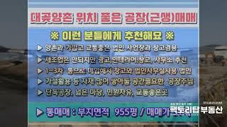 [김포공장매매]김포대곶면 김포공장 근린생활시설 소매점 매매