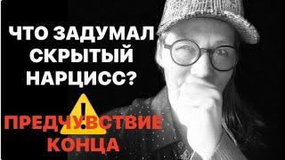 Психолог Елена Скотт отвечает на вопросы