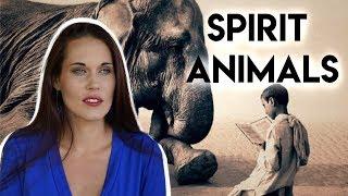 Spirit Animals (What Is Your Spirit Animal and How To Find Your Spirit Animal)