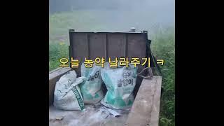자연인 밤산 농약하기 . 지원 하기 .