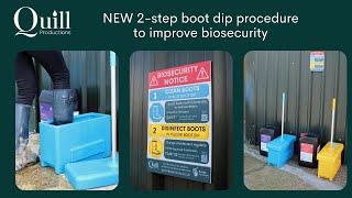 NEW 2-step Quill Boot Dip Procedure to Improve Biosecurity