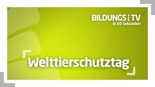 BildungsTV in 60 Sekunden - Welttierschutztag