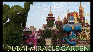 S68_ AIRPLANE & GENIE IN THE GARDEN || DUBAI MIRACLE GARDEN || JANUARY 14,  2022