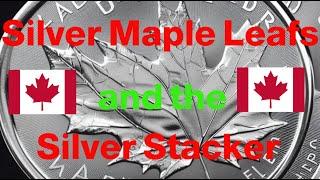 Silver Maple Leaf Coins and the Beginning Silver Stackers 2023