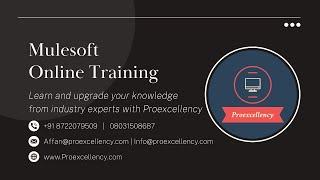 Mulesoft Training | Learn Mulesoft from industry expects with Proexcellency