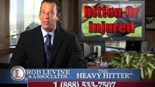 Dog Bite Lawyer - Westerly RI