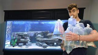 BUYING NEW FISH for AQUARIUM!!