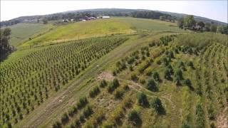 Grower explains How to start a Tree Farm