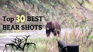 TOP 30 BEST BEAR HUNTING KILL SHOTS