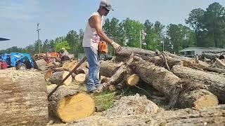Chainsaw Mayhem