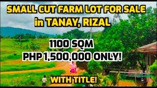 (PROPERTY#49) SMALL CUT FARM LOT IN TANAY, RIZAL WITH TITLE!