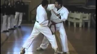 Koga Yamabushi: Dux Ryu seminar, Shidoshi Frank Dux "ninjutsu"