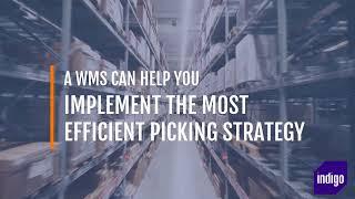 Top picking strategies to maximise warehouse efficiency with a Warehouse Management System