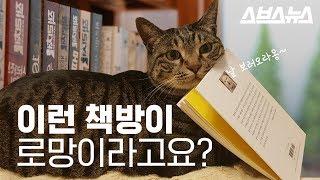 낭만적인 동네 책방, 현 주소 살펴보니...(feat. 고양이 책방)