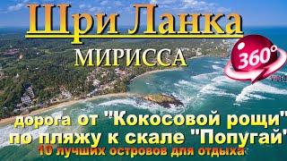 мирисса шри ланка дорога от Кокосовая роща (Холм кокосовой пальмы) по пляжу к скале Попугай.mirissa