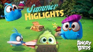 Angry Birds Summer Highlights | Chapter 1