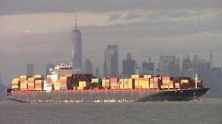 Container Ship MSC SANA Outbound from New York - Verrazzano Bridge - Manhattan Skyline