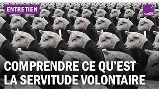 Comprendre le "Discours de la servitude volontaire", grand réquisitoire contre le pouvoir absolu