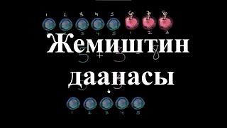 Жемиштин даанасы | Кошуу жана кемитүүгө киришүү | Башталгыч математика | Хан Академиясы