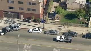 Cop falls and destroys a tree chasing a suspect in LA