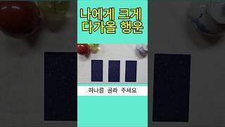 나에게 크게 다가올 행운 #타로 #타로행운 #타로금전운 #타로연애운 #상대방속마음 #오늘의운세 #타로카드 #명언 #부자 #로또 #타로사업운 #tarot #타로운세 #tarot