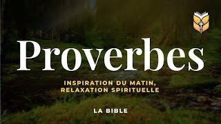 Proverbes.Inspiration du matin #biblevision