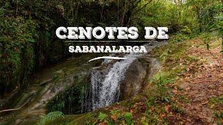 Cenotes de Sabanalarga- El secreto mejor guardado de Casanare 