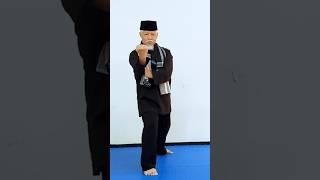 Master the Basics of Pencak Silat!