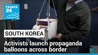 South Korean activists launch propaganda balloons across border • FRANCE 24 English