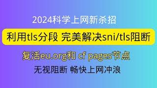 2024科学上网新杀招 强大的tls分段（分片）功能，让被sni阻断的节点复活，拯救你的eu.org 和cf page节点，无视sni阻断