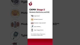 CKM Syndrome: Stage 2