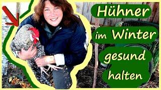 Glückliche Hühner im Winter │Wie füttere ich meine Hühner im Winter und halte sie gesund?