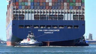 ULTRA LARGE CONTAINER SHIPS TRAFFIC AT ROTTERDAM PORT - 4K SHIPSPOTTING AUGUST 2022