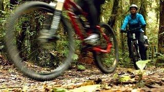 A local's guide to cycle trails in Waikato, NZ