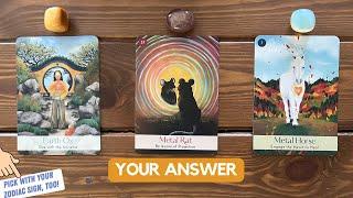 Spirit Answers Your Question! | Timeless Reading