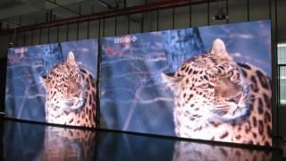 P10 indoor led display video (Shenzhen Newstar Optoelectronics Co.,Ltd)