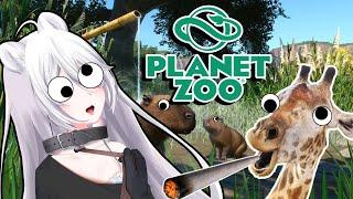 THIS ZOO IS CRAZY !!! | Planet Zoo | Let's Game It Out React