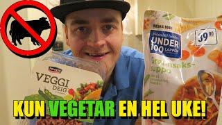 JEG ER VEGETARIANER I EN HEL UKE!