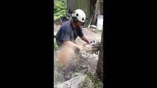 Ported Stihl 066 24" 8 pin In Hickory/All American Tree Care Coventry CT