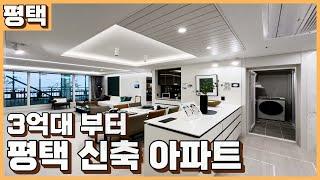 평택 브레인시티 3억대부터 있는 신축 아파트 대단지 세대 new 아파트 미분양 줍줍