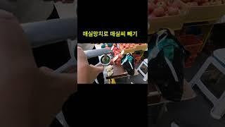 매실 망치로 매실씨 빼기