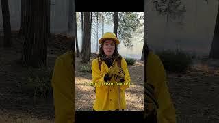 Controlled Burns: International Representation