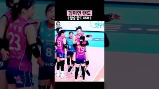 김미연 랜드 중도 하차한 #김연경