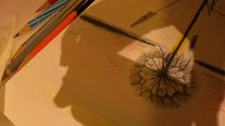 Dandelion Sunset | Colour Pencil | Easy and Simple Drawing | Mar 19