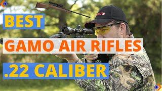 6 Best Gamo Air Rifle .22 Caliber | Best Air Rifles 2024