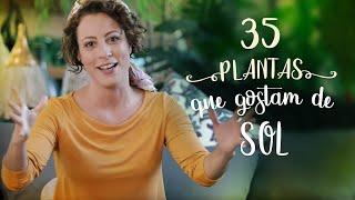 35 PLANTAS que AMAM SOL (boas para CALOR e FRIO)