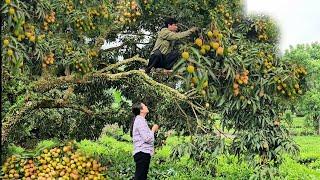 Working hard with her husband to build the farm - taking care of her beloved daughter